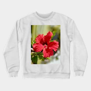 Tropical flower photo Crewneck Sweatshirt